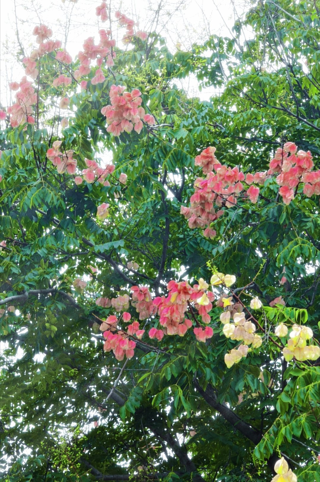 一千零一楼 今日✨和老婆周五快乐之夜✧₍^˶- ˕ -˵^₎✧一下班就火速奔向?