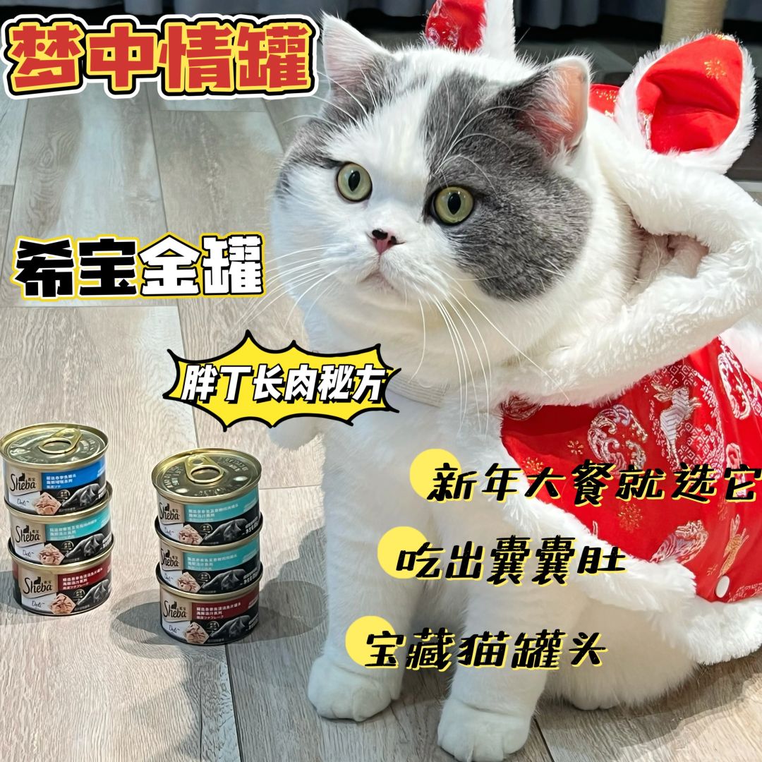 猫猫的新年大餐！必须安排一整条鱼罐头