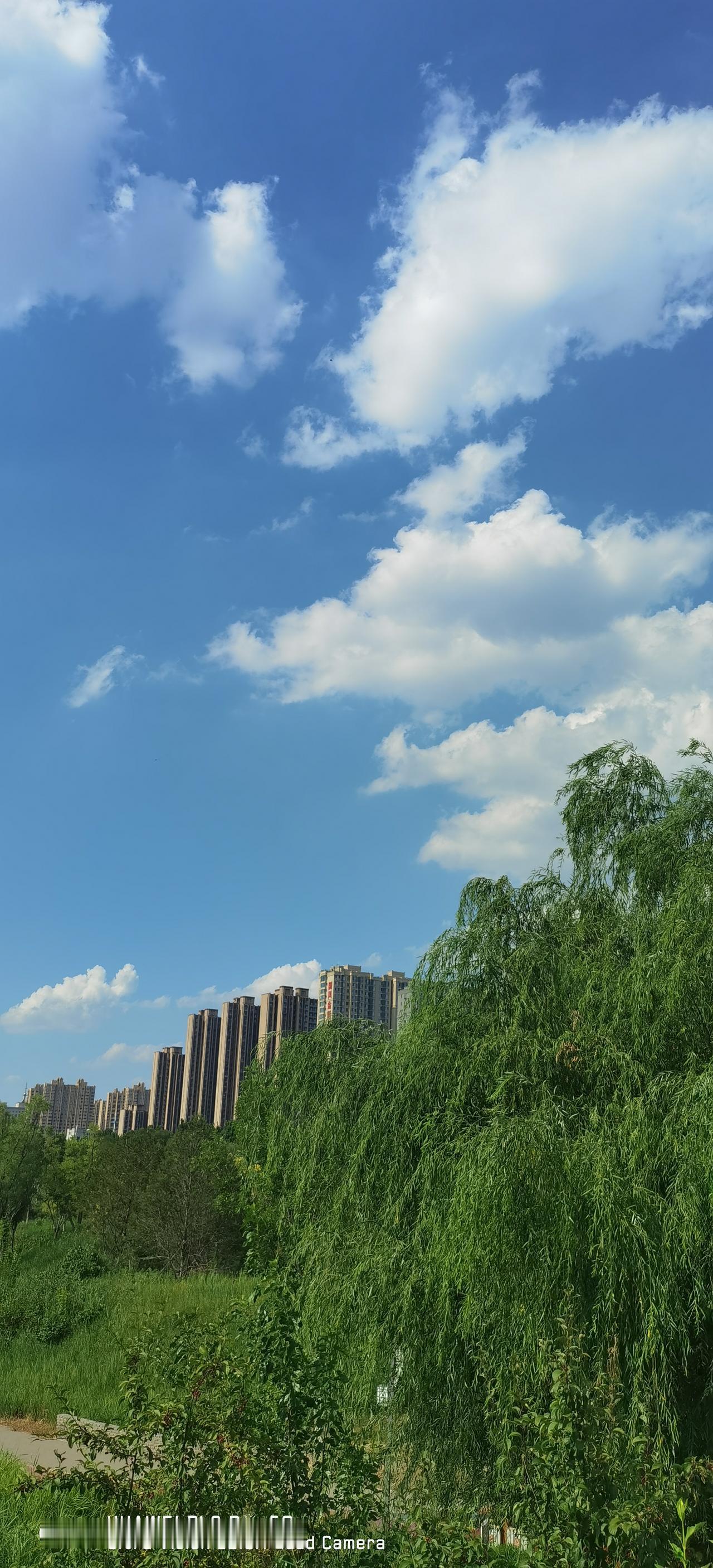 强烈呼吁作协、曲协、美协、书协等加强对新发展会员的审核把关，严把入口。同时，加强