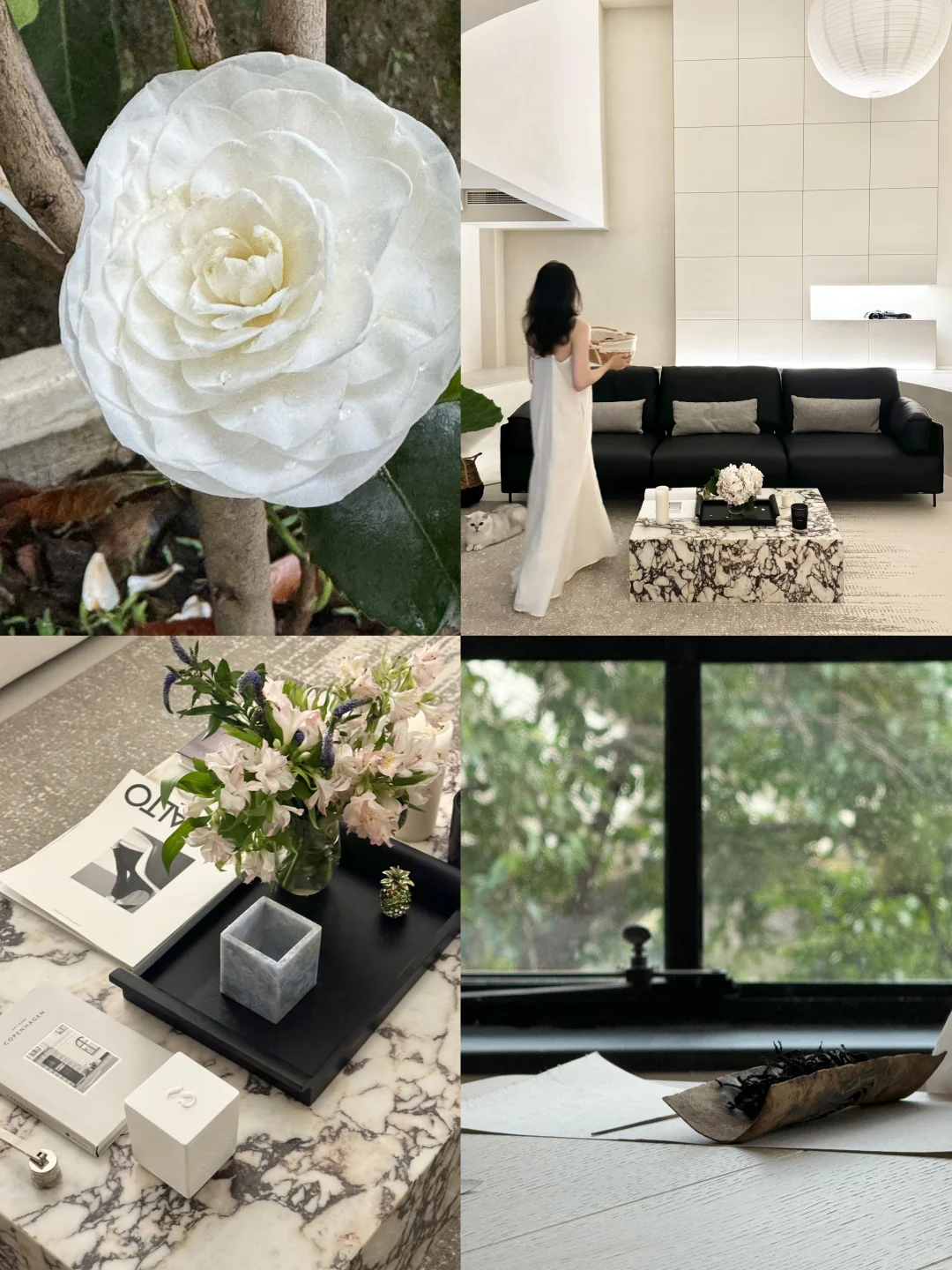 植物系生活👩🏻‍🌾🌿