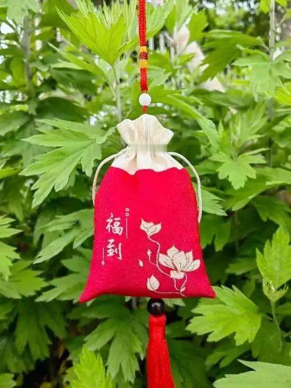 为什么要在端午节挂艾草佩香囊? 端午节挂艾草、佩香囊，不仅是流传千年的传统习俗，