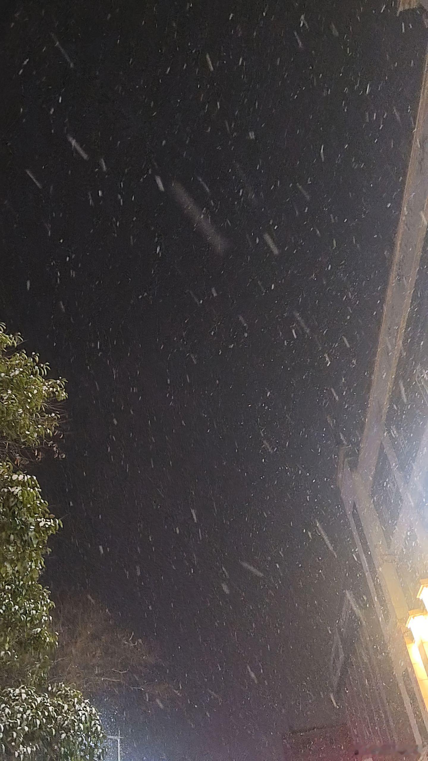 随手拍该你遇到的人，你躲不掉，该你经历的劫，你逃不了，人生不可能每一步都正确，不