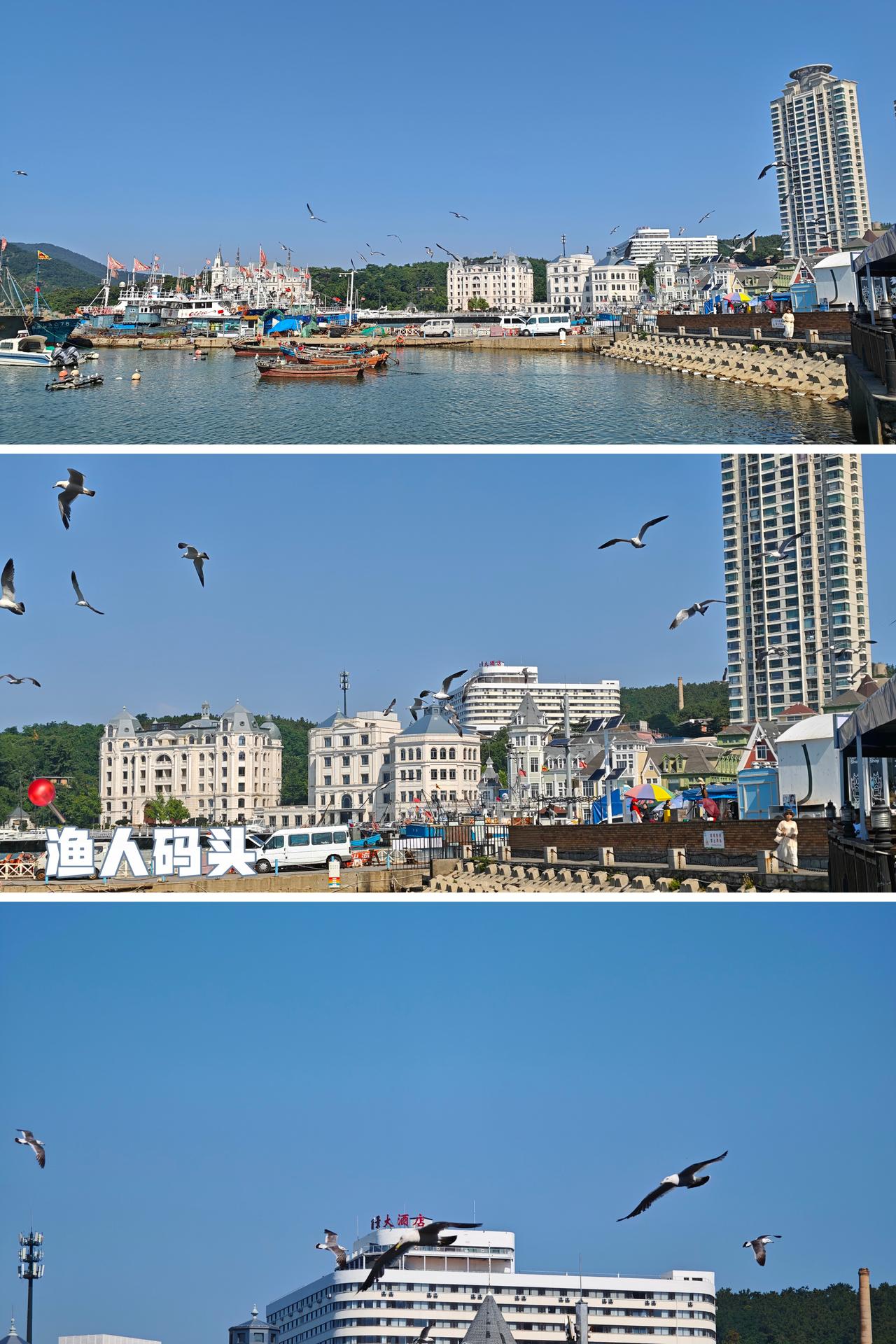 7月15日 暑假Day 2/49
晨练1🧮总结：阅读类60分钟；家庭学习内容1