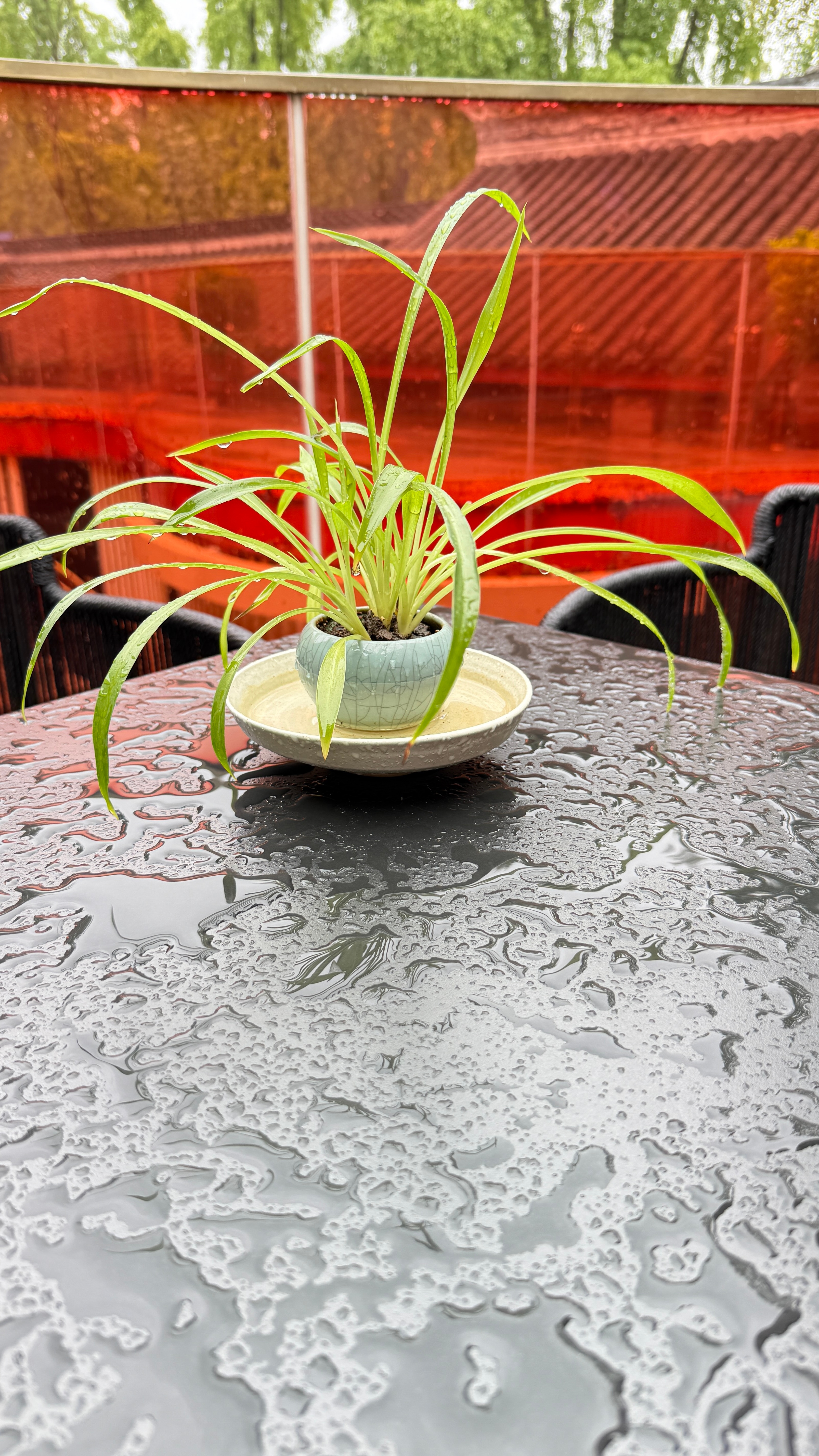 生活手记完了，外面雨兮兮的，今天穿少了，有点冷所以，一定要相信秋天的雨，它是真的