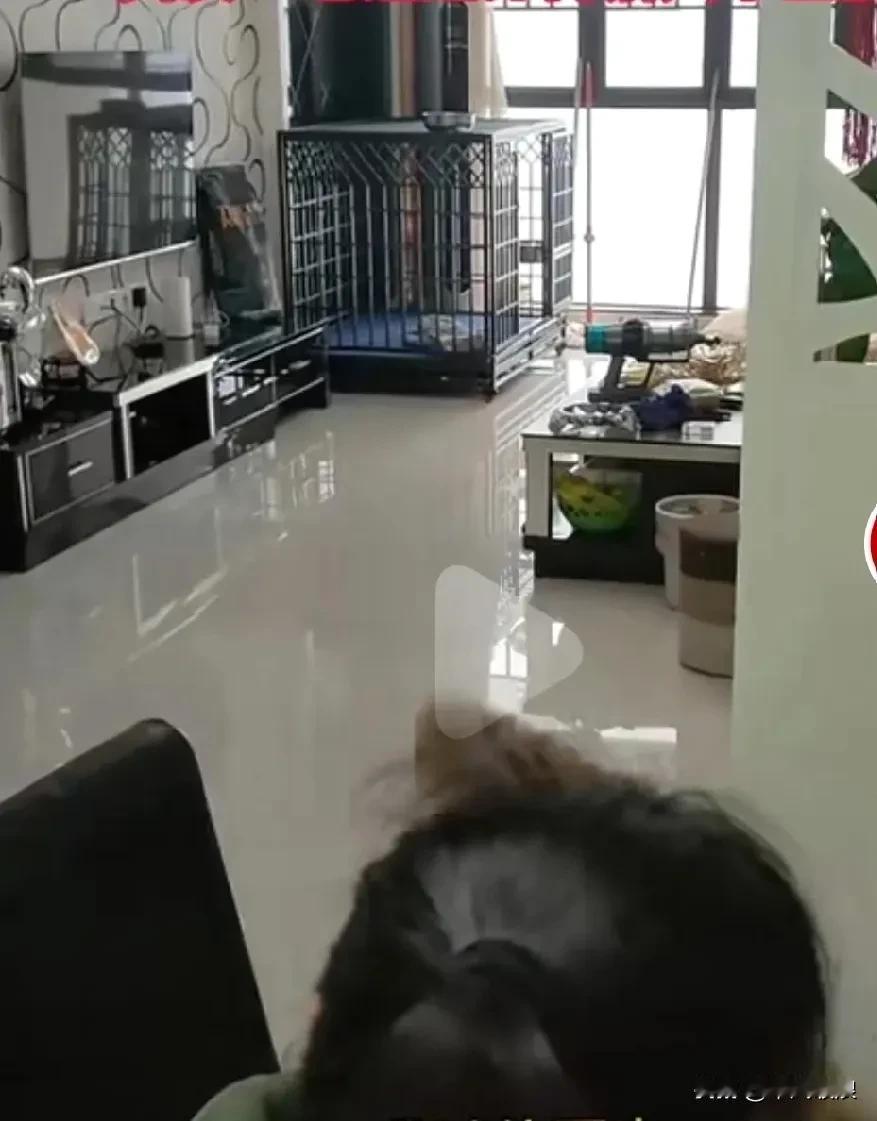 狗狗犯了错，躲在窝里，不管主人怎么叫唤，它就是不听，不肯出来。主人使出一招，就把