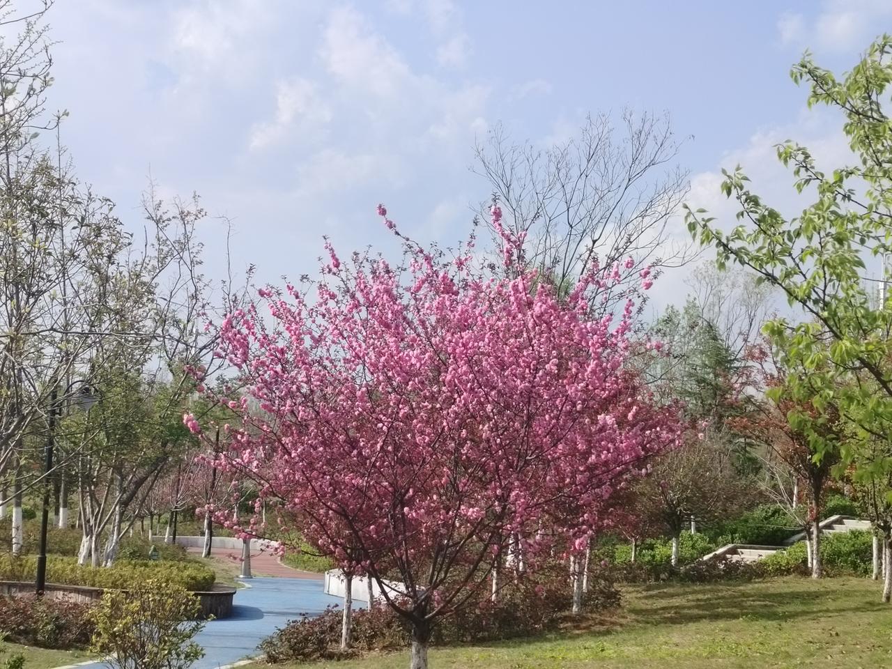 送你三句短平快的解压心法，下次觉得累的时候默念一下：
 
1. 关于放不下：世间