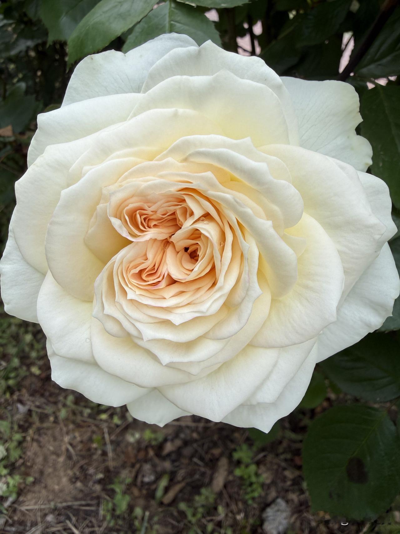 【小对联】
上：……？
下：同姓同名。