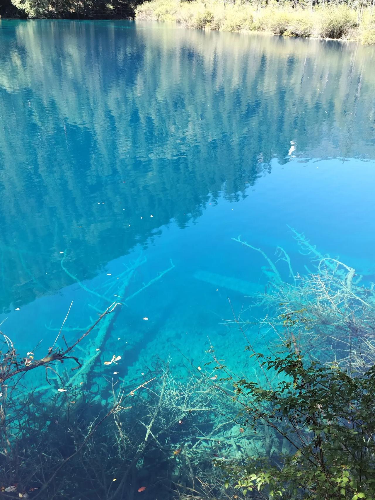 今年冬天的不同加油