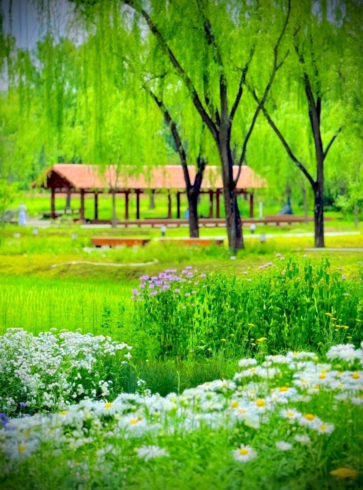 北京小众避暑宝地六郎庄公园，藏在颐和园旁。浓荫溪水自带凉意，是城市天然氧吧。大片