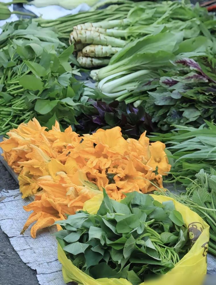 我奶奶说：“立秋过了，这三样菜，再便宜也别往家买。”

我前几天还不信，觉得现在
