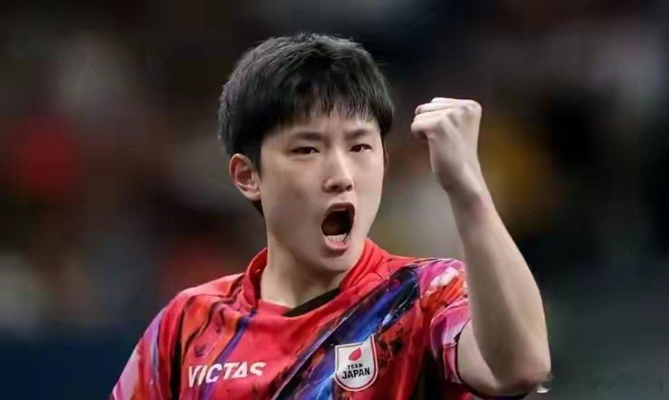 WTT横滨冠军赛，男单前8种子分区如下【1/4区】🇨🇳林诗栋，达科·约奇克?