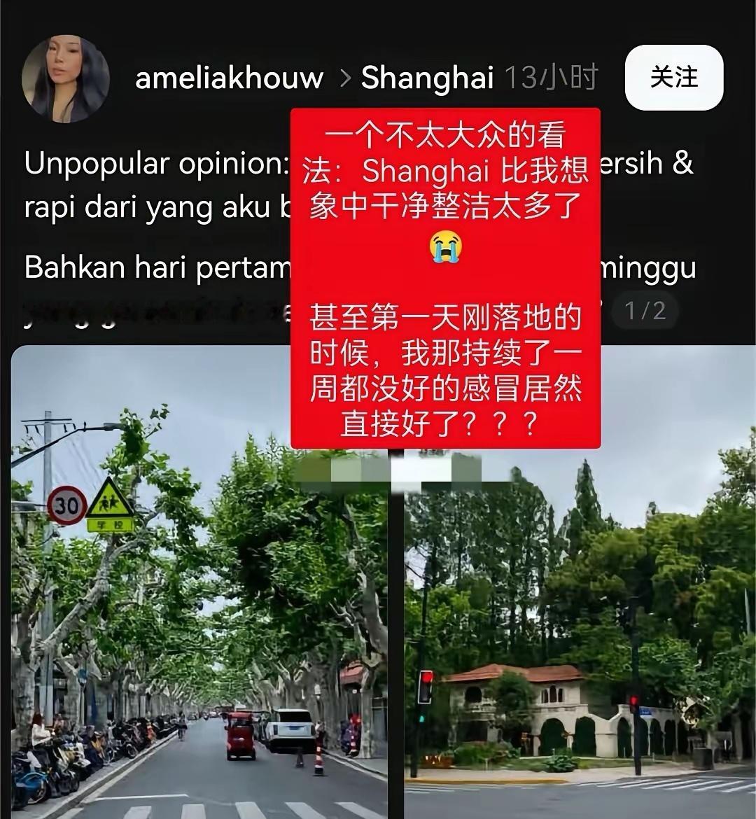 老外：中国的空气好到能治病 
