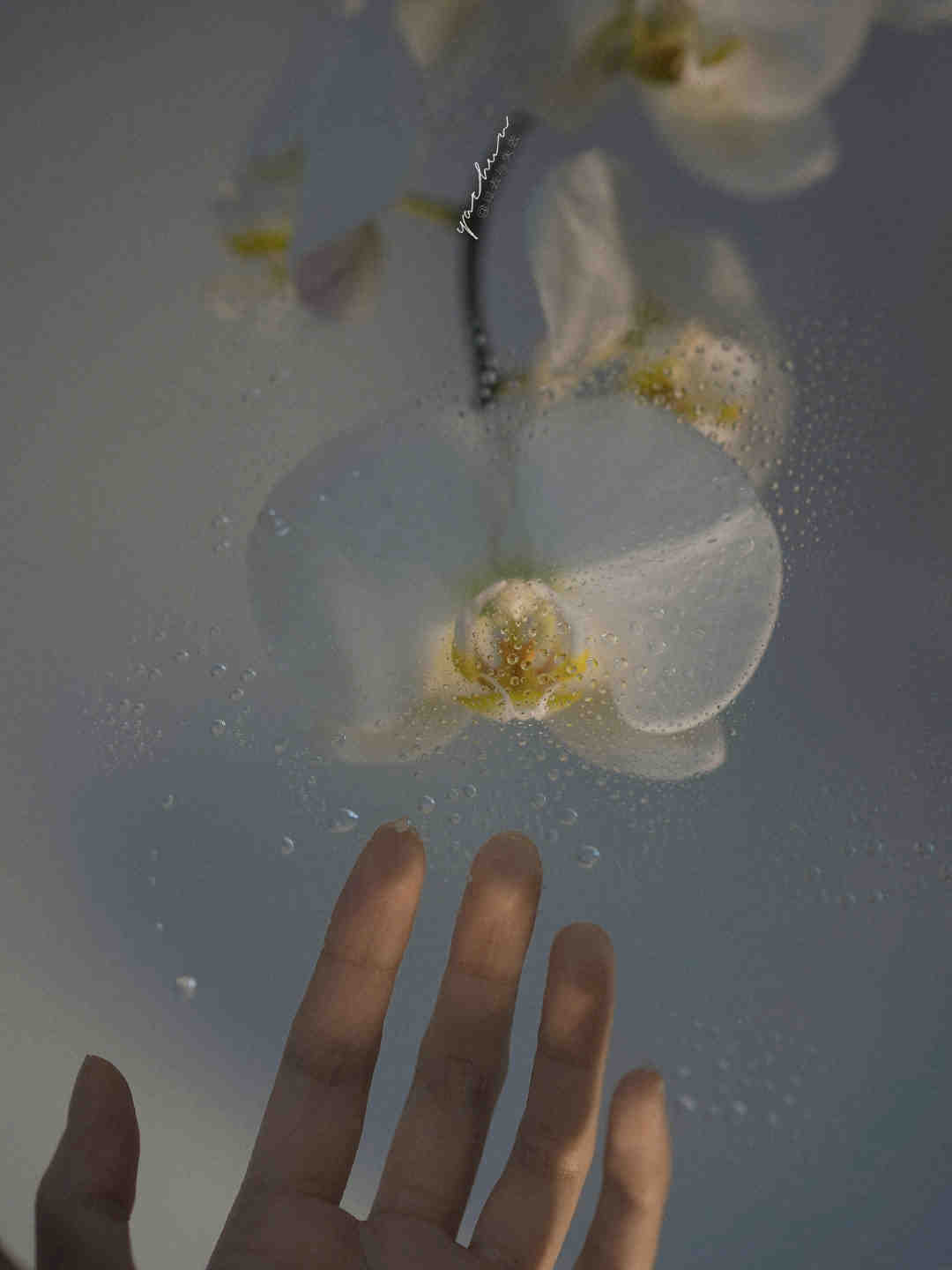 浪漫并非一定是两个人的事，浪漫也不一定只存在于爱情之中。浪漫可以是花钱开一家餐厅