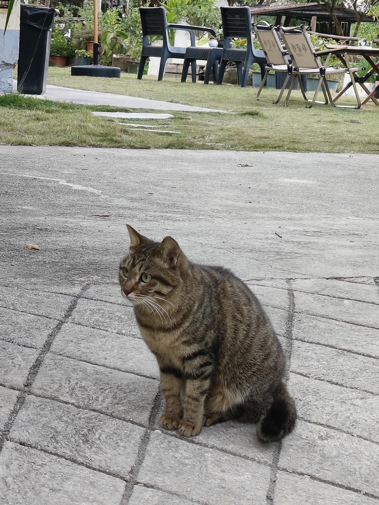 分享一张最近随手拍的照片热爱这个世界，需要好奇心，而不是口号！[大笑]秋天的随手