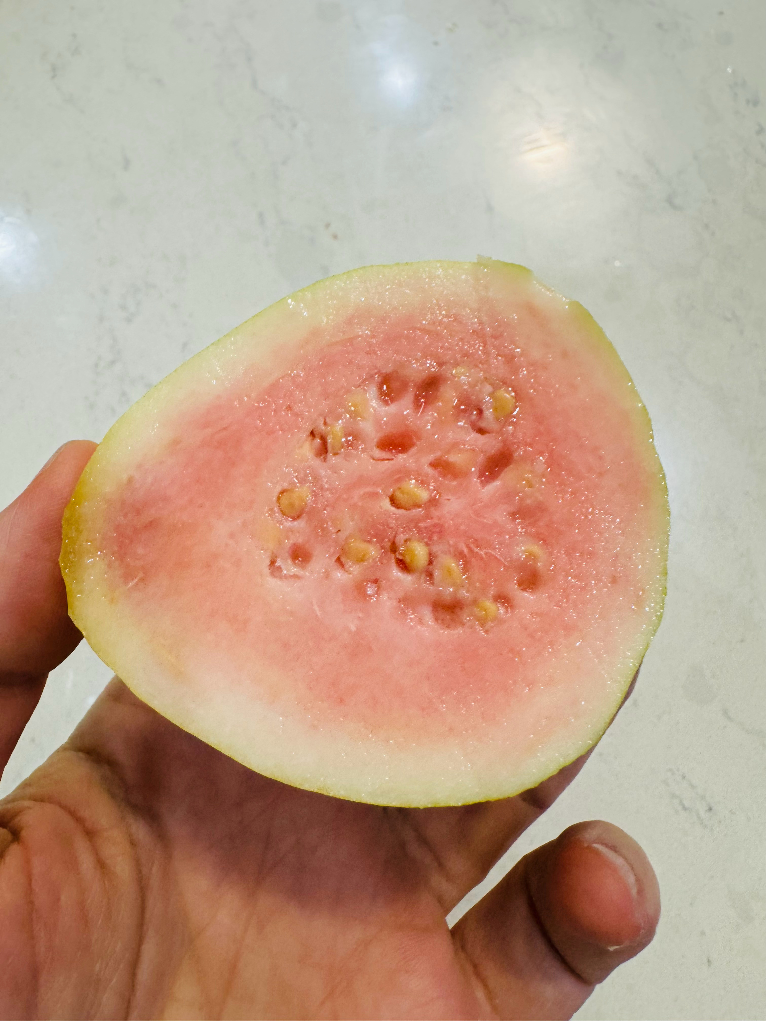 自己种的这个芭乐真的是又香又糯，真好吃！而且芭乐是一种对减脂非常友好的水果，饱腹