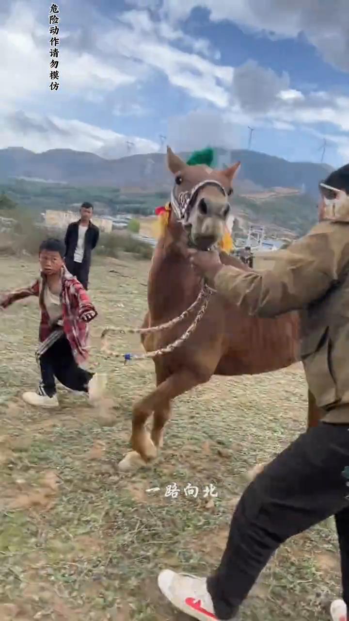 一路向北。
山河分开两边，都为梦。