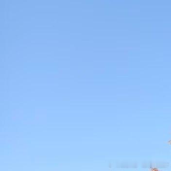 每日一善 人生就是一场修行，修的就是一颗心，珍惜今天，珍惜现在，风舞落叶的日子，