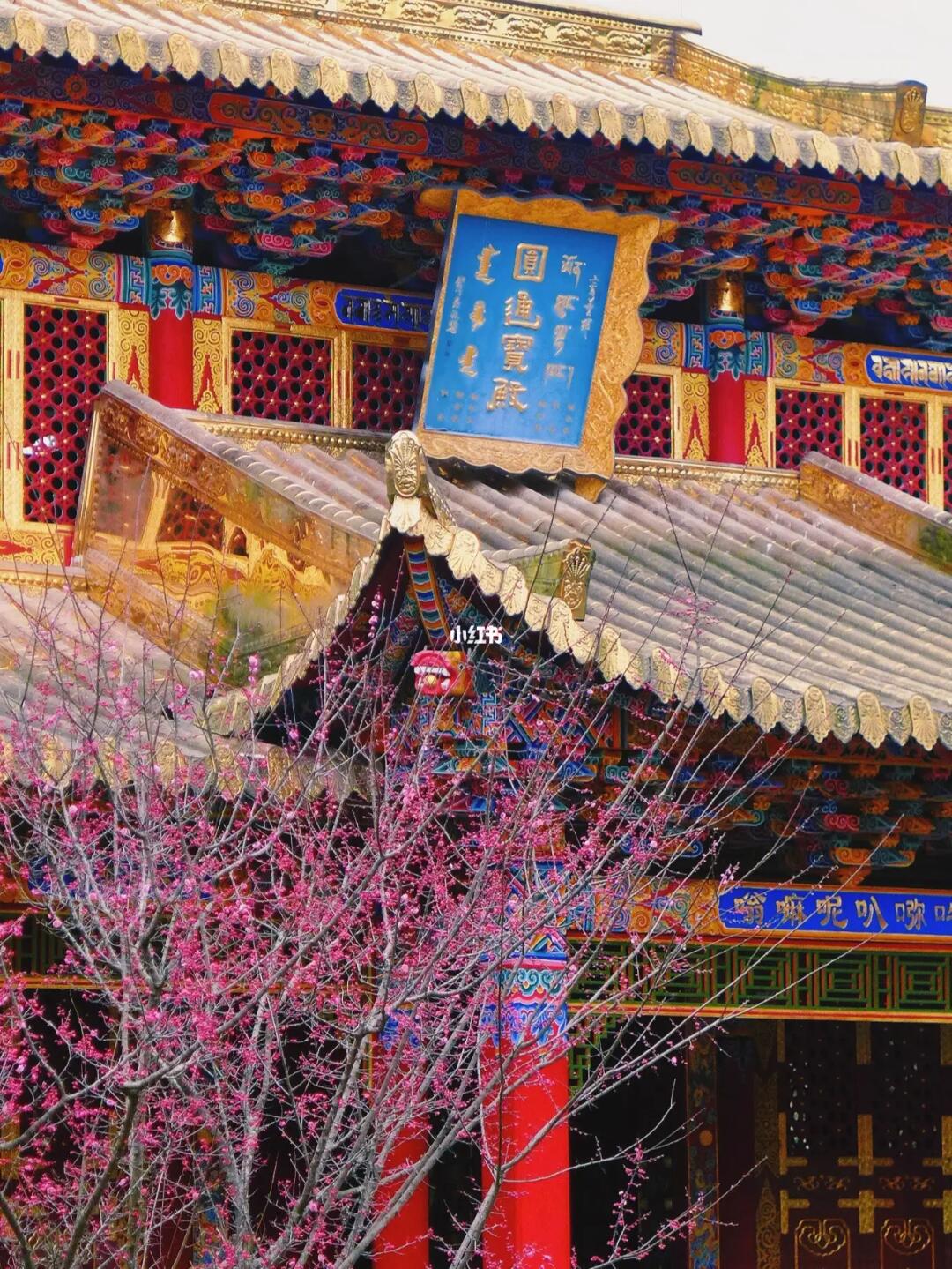 不是京都｜这里是成都最美寺庙！