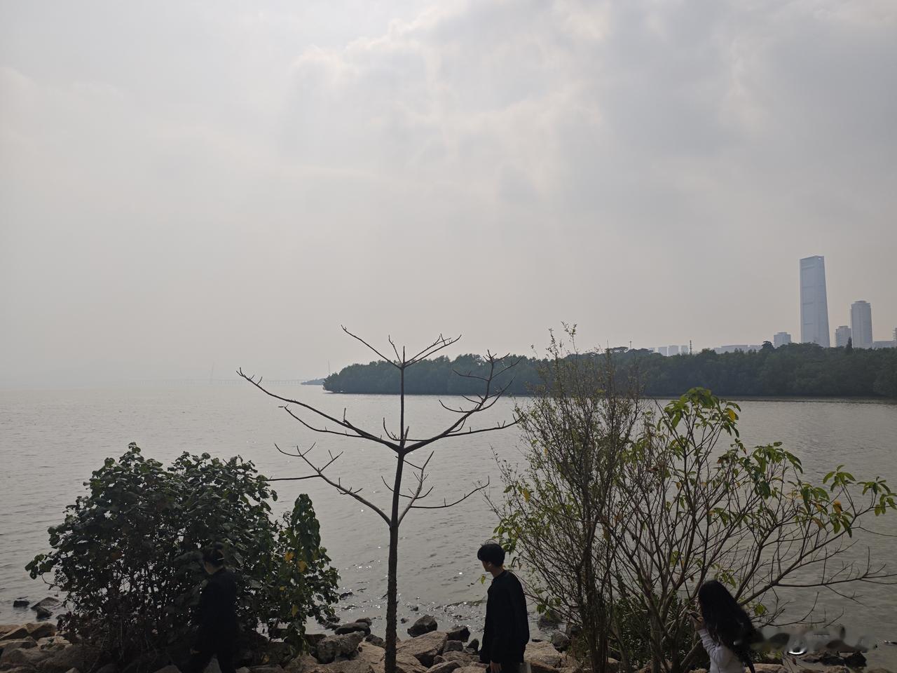 大陆已经不是台湾第一大市场了，可见民进党这些年搞的脱中策略还是起到了作用。
最大
