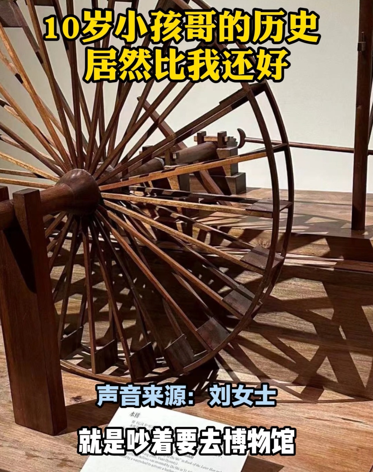 #被小孩哥的知识储备量惊到了#小孩哥10岁，有5年的历史储备经验，真的有点子佩服