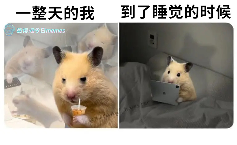 苏醒了（9gag）今日meme今日memes