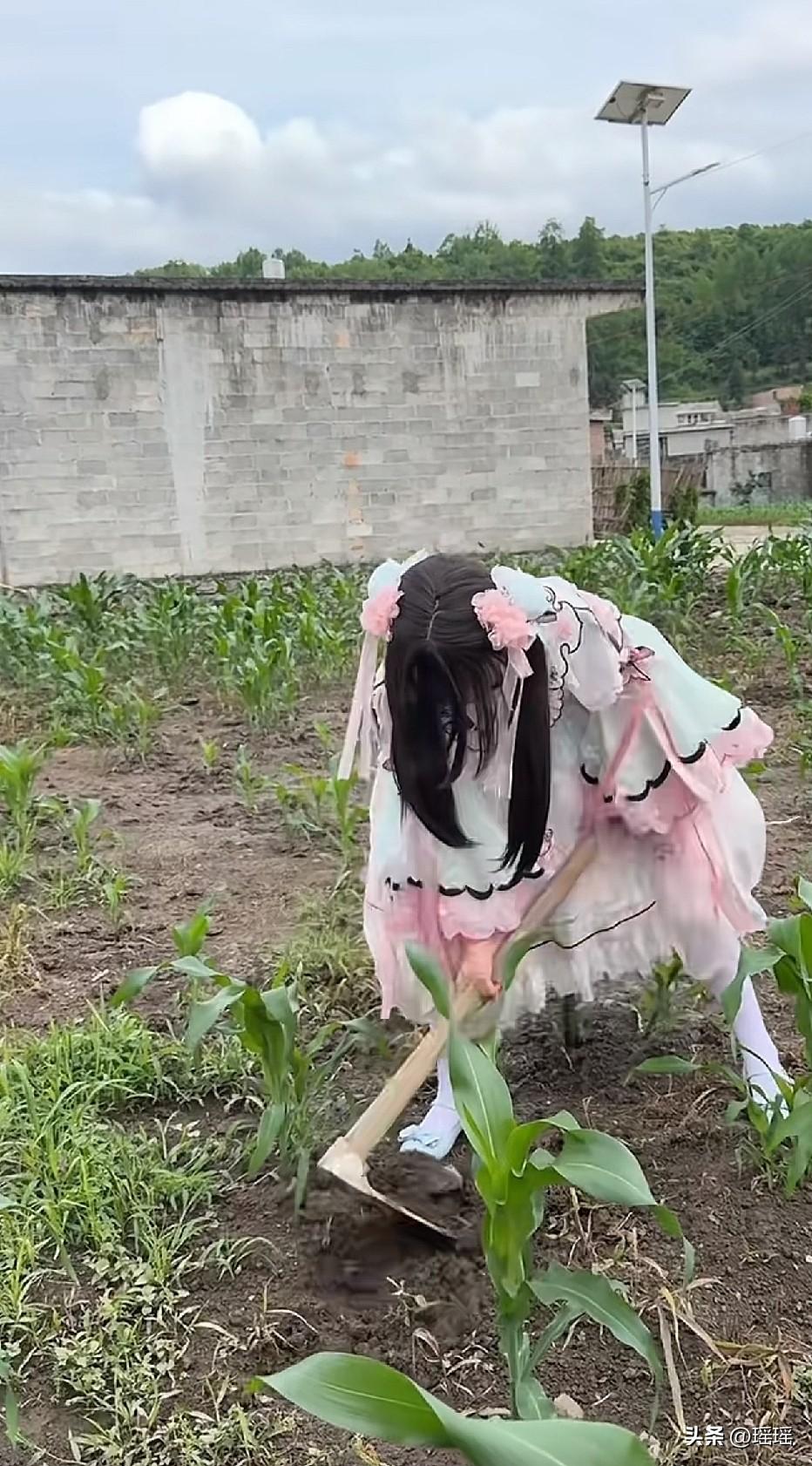 你在挖啥？我农村人看不懂
