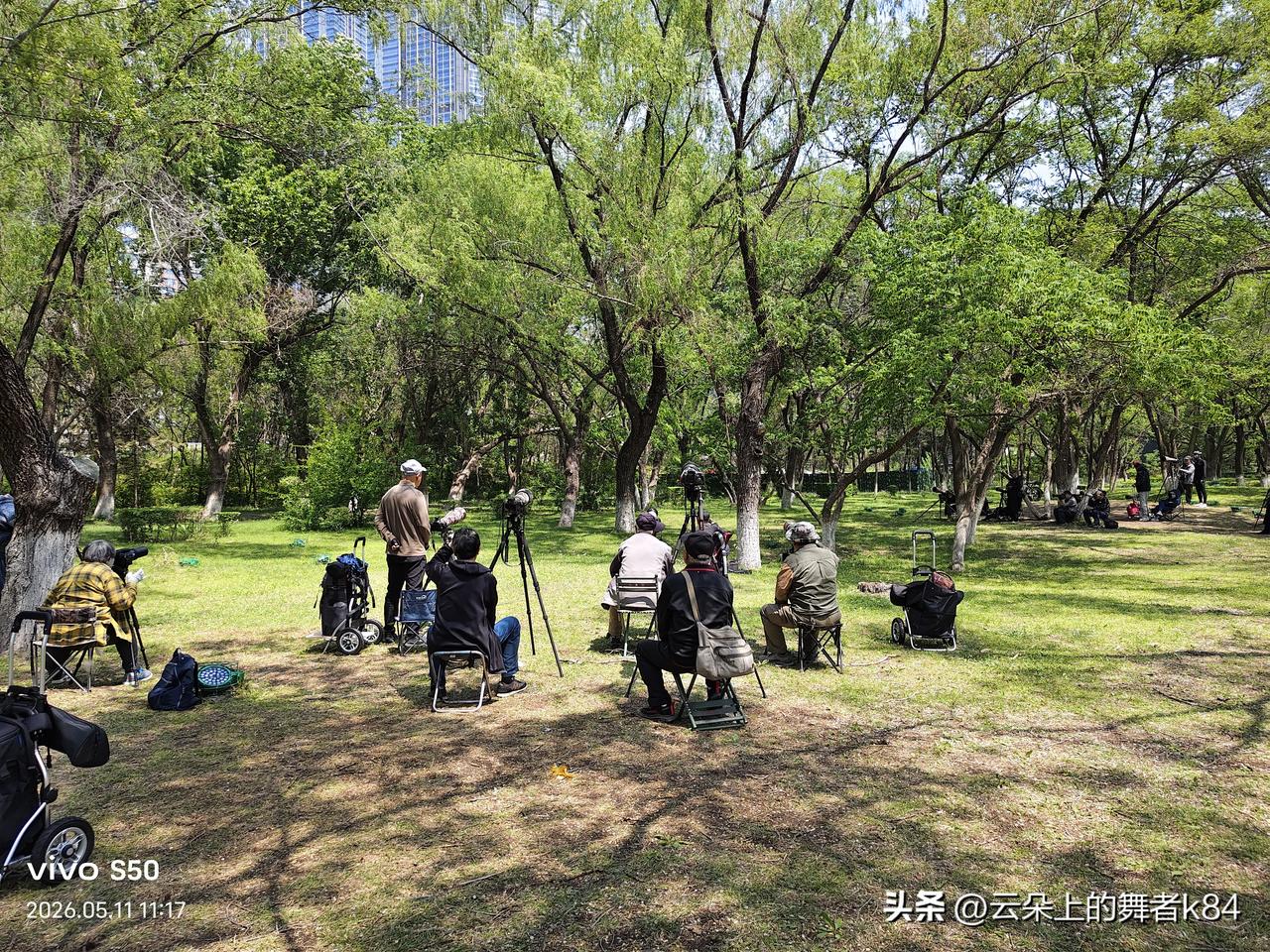 慈母情深的感悟点是什么被世人赞美的伟大母爱!在沈水湾公园一处绿地，这些摄影爱好者
