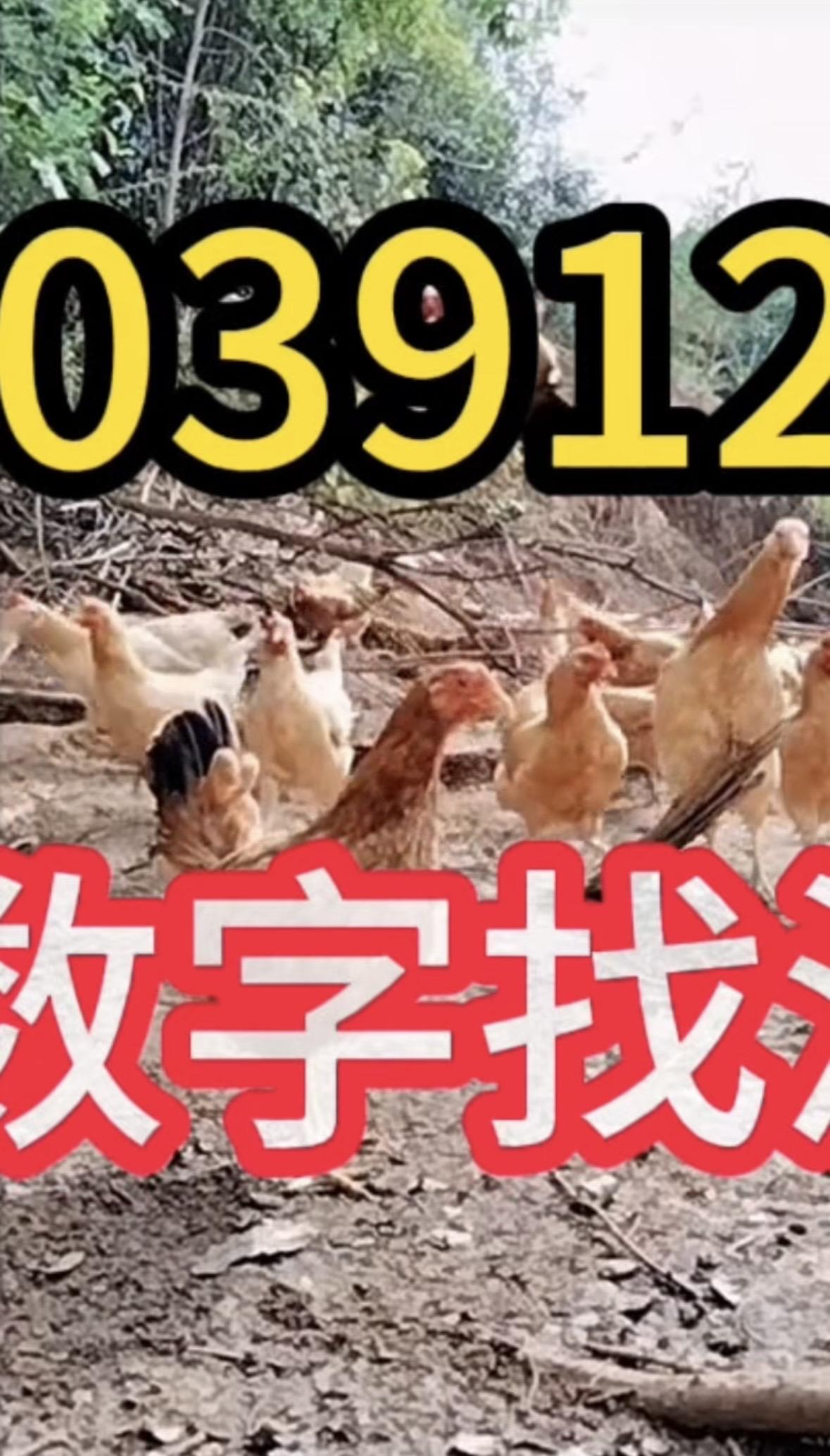 科学养鸡小妙招抖音养鸡人抖音三农热点 鸡病防治 服务三农支持三农