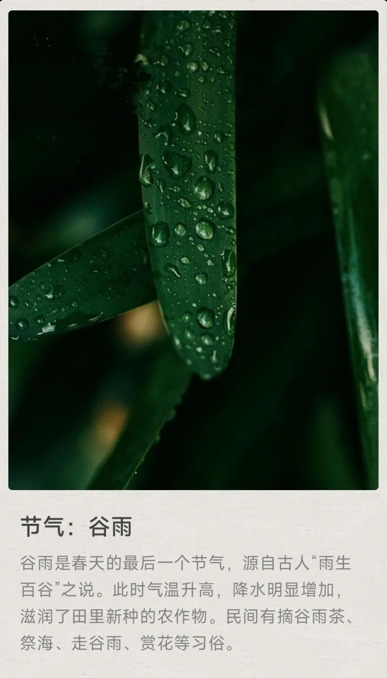 谷雨 节气 春日生活打卡季