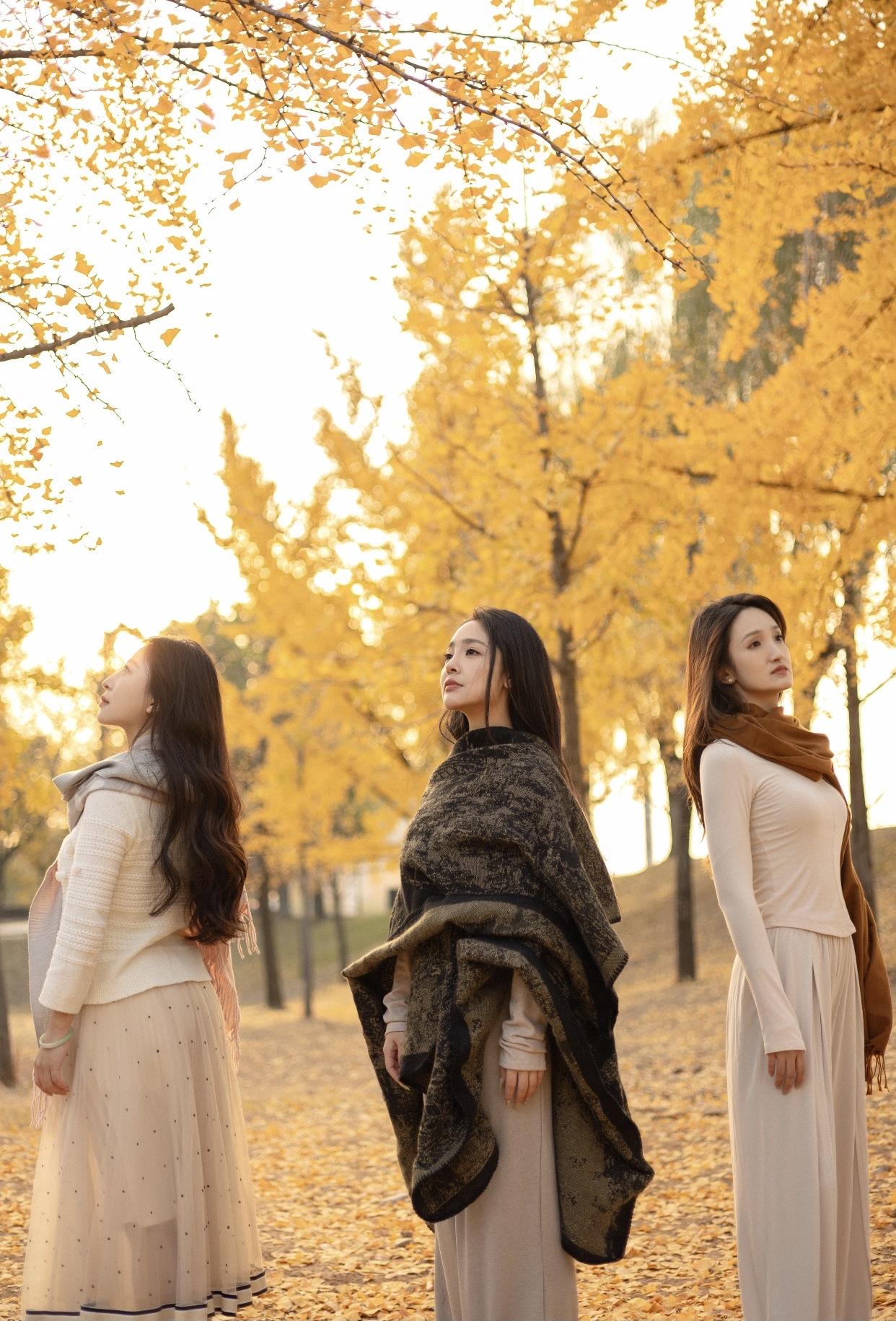 秋日漫步，落叶飘零，静享时光。