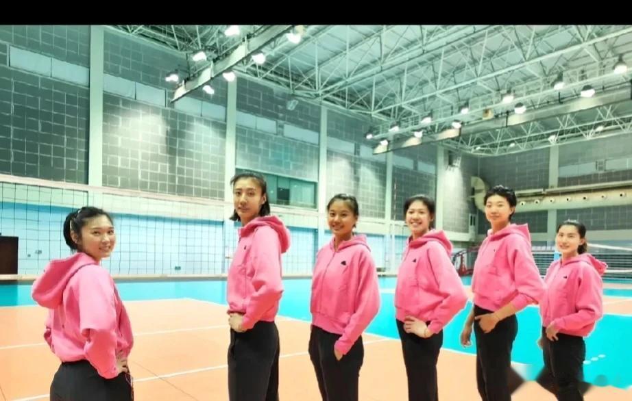 女排奥预赛，等于是一届“小世界杯”赛，24支队角斗8天，早10点起连着看，其它小