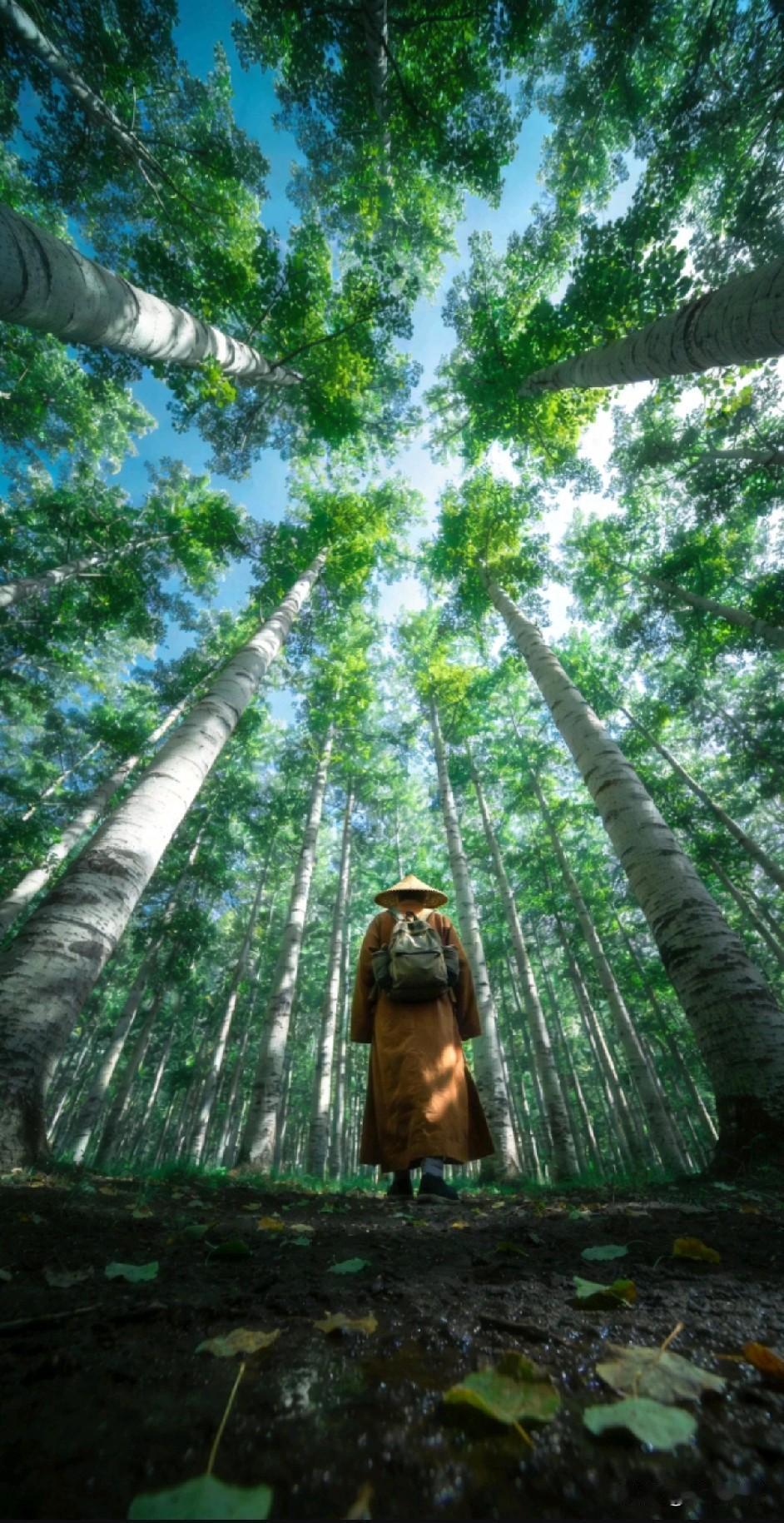 《天地非外，觉醒由心；莫问苍穹，且观方寸；天非穹窿，地非厚土》

心正天清，行端