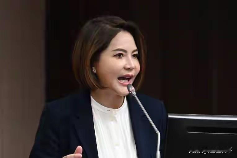 国民党中央委员选举结果出炉！陈菁徽得第一，连胜武排第九。2025年12月28日，