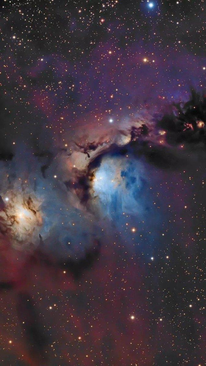 #每天一天文图# 猎户座 M78 反射星云#转发接龙开新年# ​​​