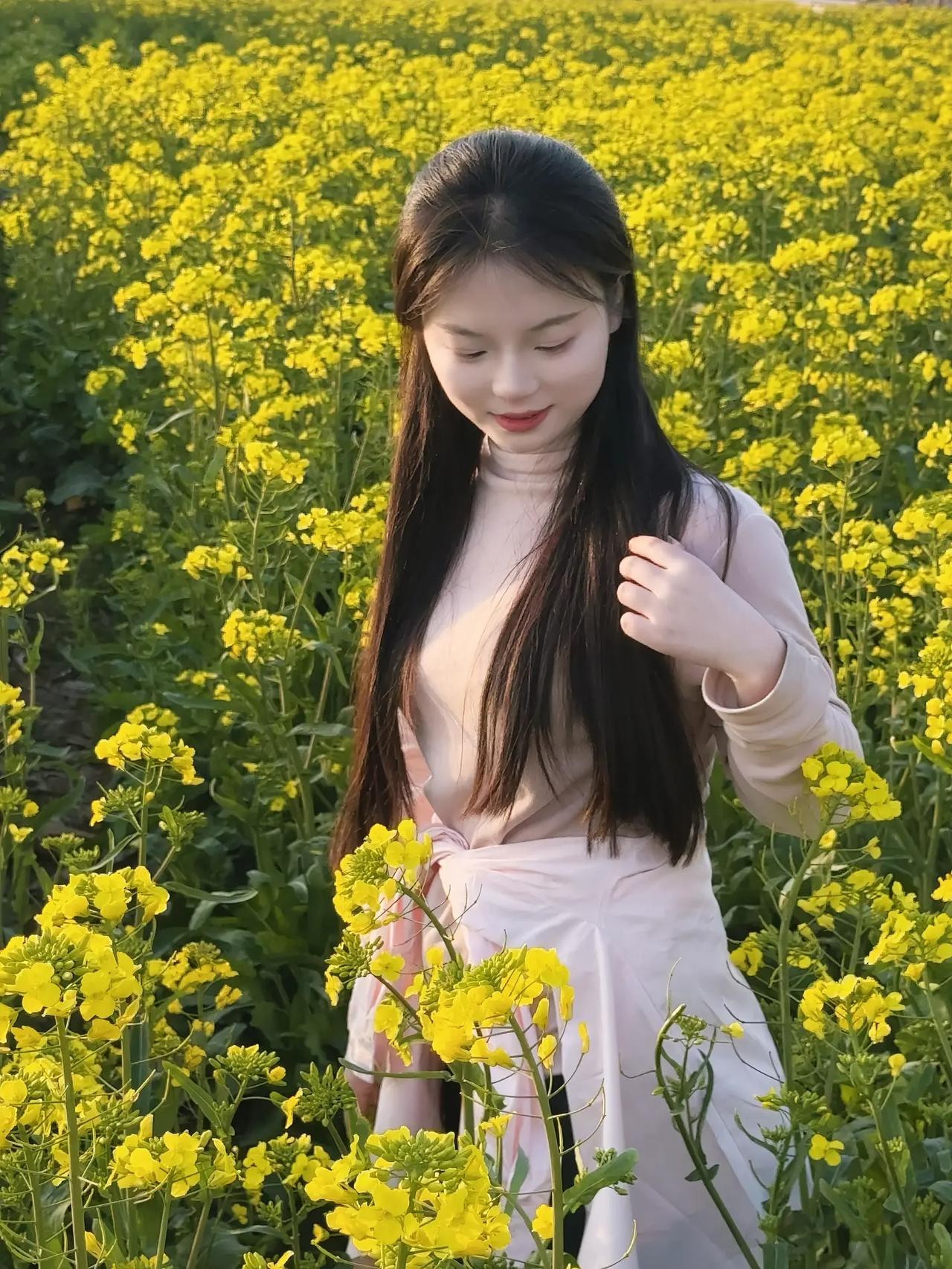 花开花落，岁月静好。