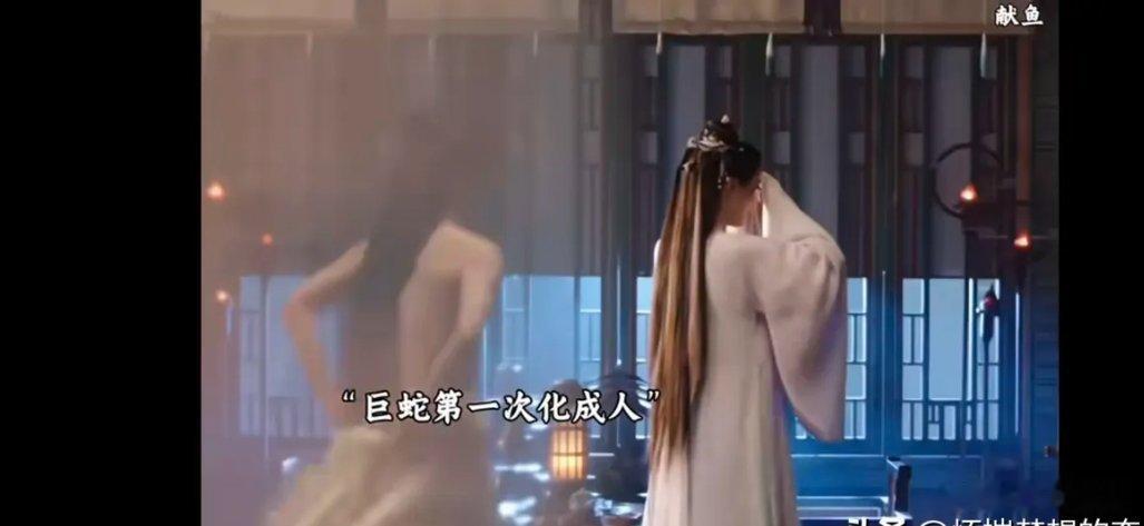 电视剧献鱼开播，太搞笑，蛇兄被师姐拿走蛇心，阴差阳错化成人形，太搞笑了，这部剧是