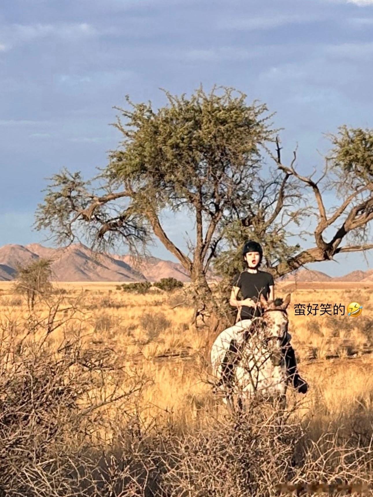 好快乐呀🐎  ​​​
