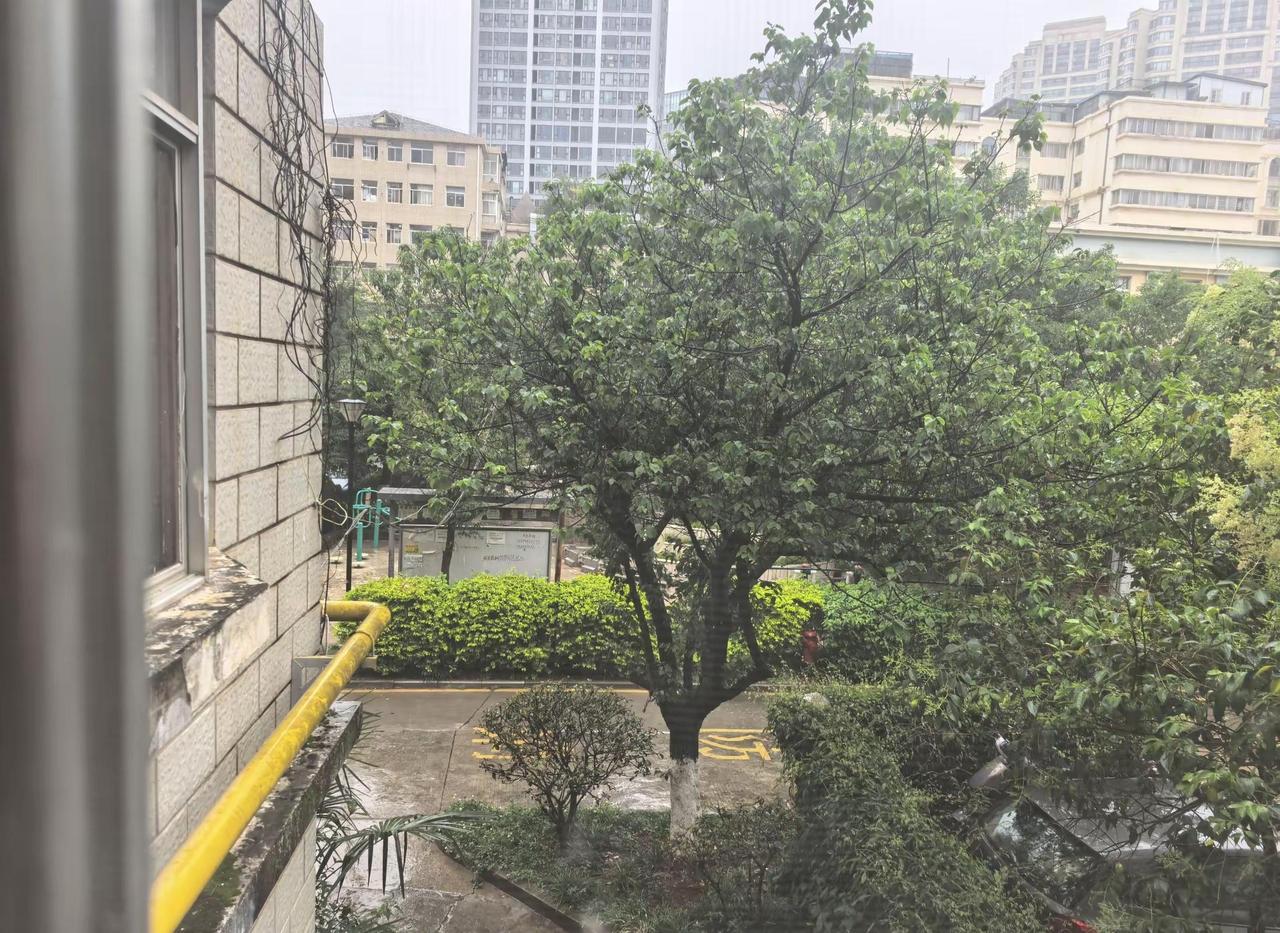 这就是春城昆明，昨天热的要si，今天差点给我冷感冒了