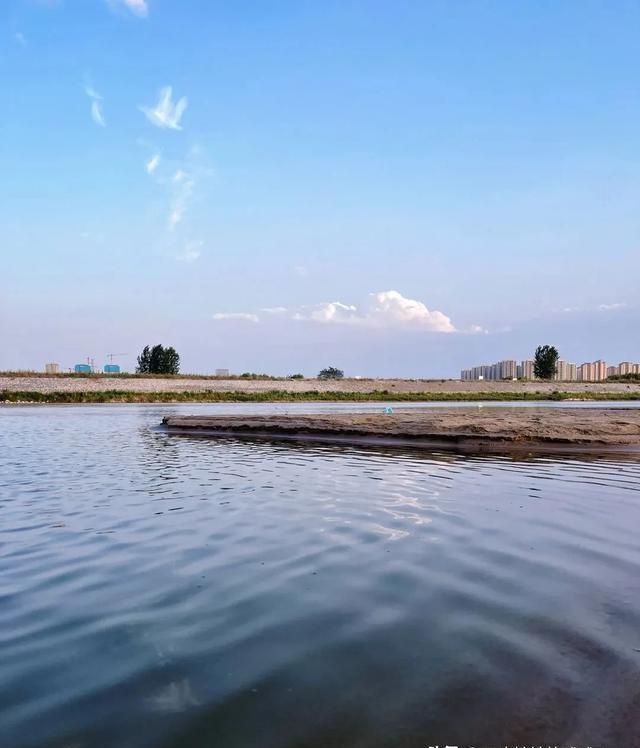 秦汉渭河湿地公园，一个听起来就充满历史感的地方，最近成了西安周边游的新宠。

占