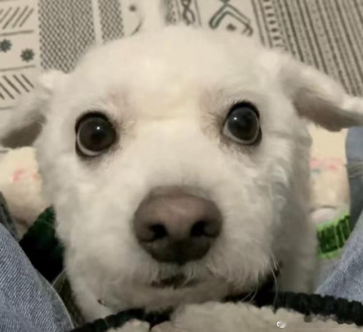 第五人格[超话] 大家玩第五最晚到几点 