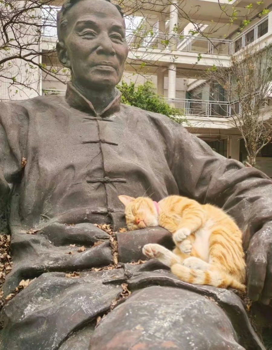 那些被雕塑眷顾着的喵星人们 ​​​