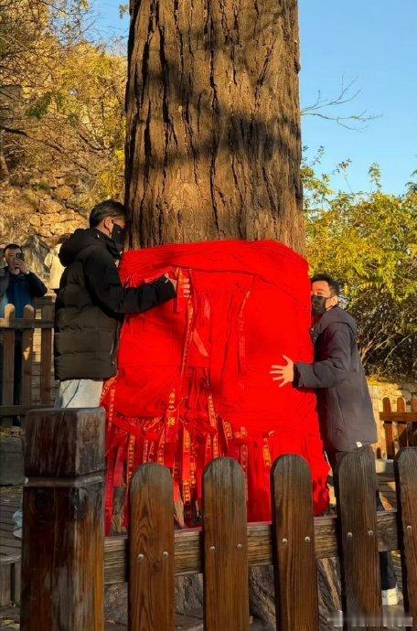 在娱乐圈这个看似繁华热闹，实则风云变幻的世界里，每一个明星的动态都牵动着粉丝们的