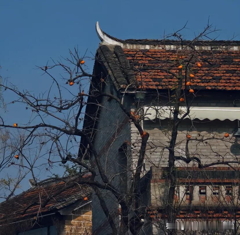 听着李健的《人间共鸣》，忽然明白了什么是“灵魂的契合”。这个世界很吵，每个人都行