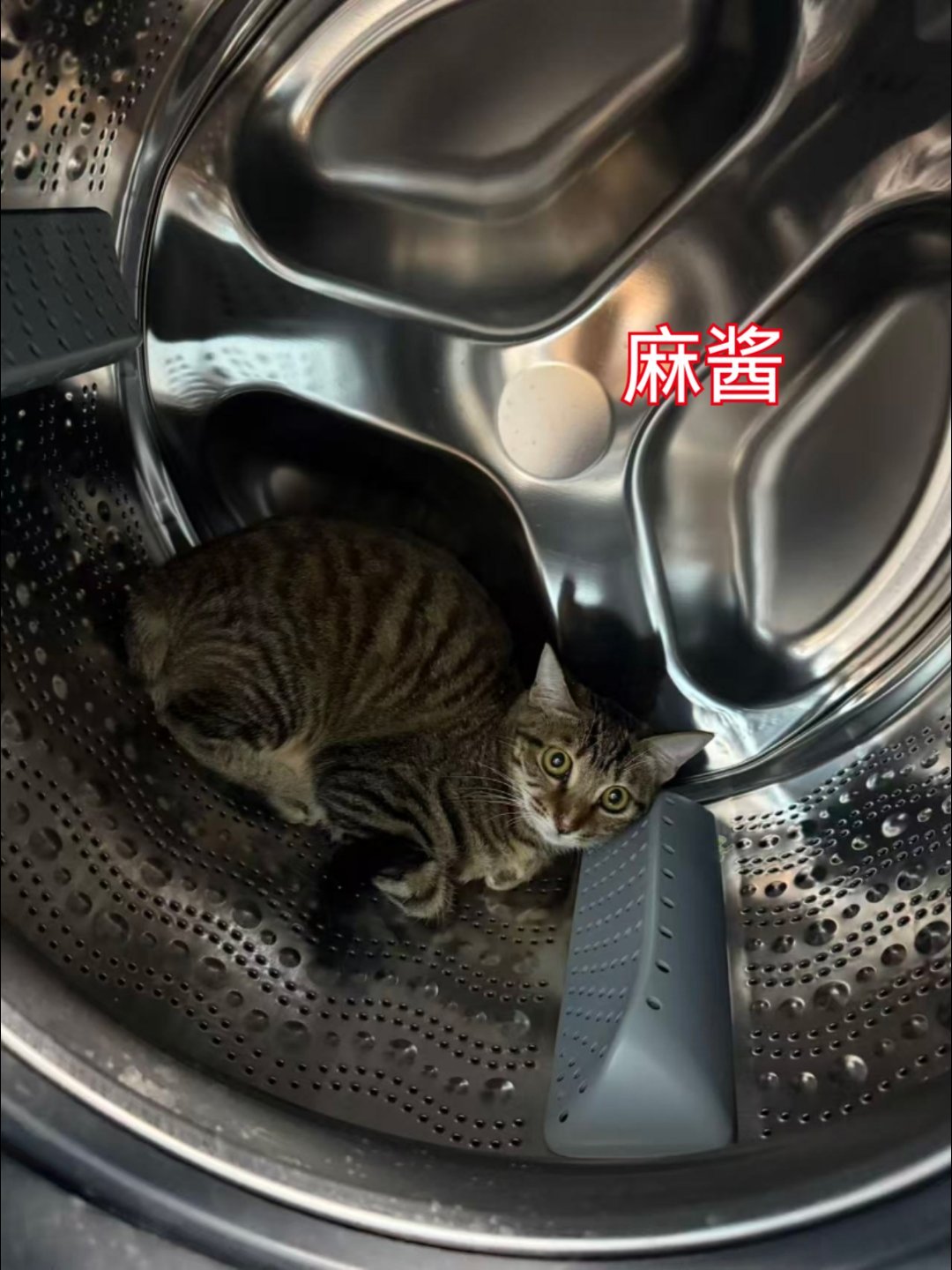 深圳校服真香高中之前好像衣服全是校服。怎么现在还出圈了？[允悲] ​​​