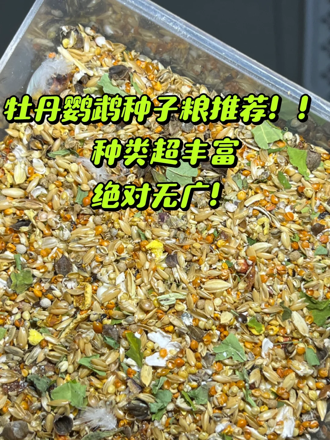牡丹鹦鹉种子粮推荐！