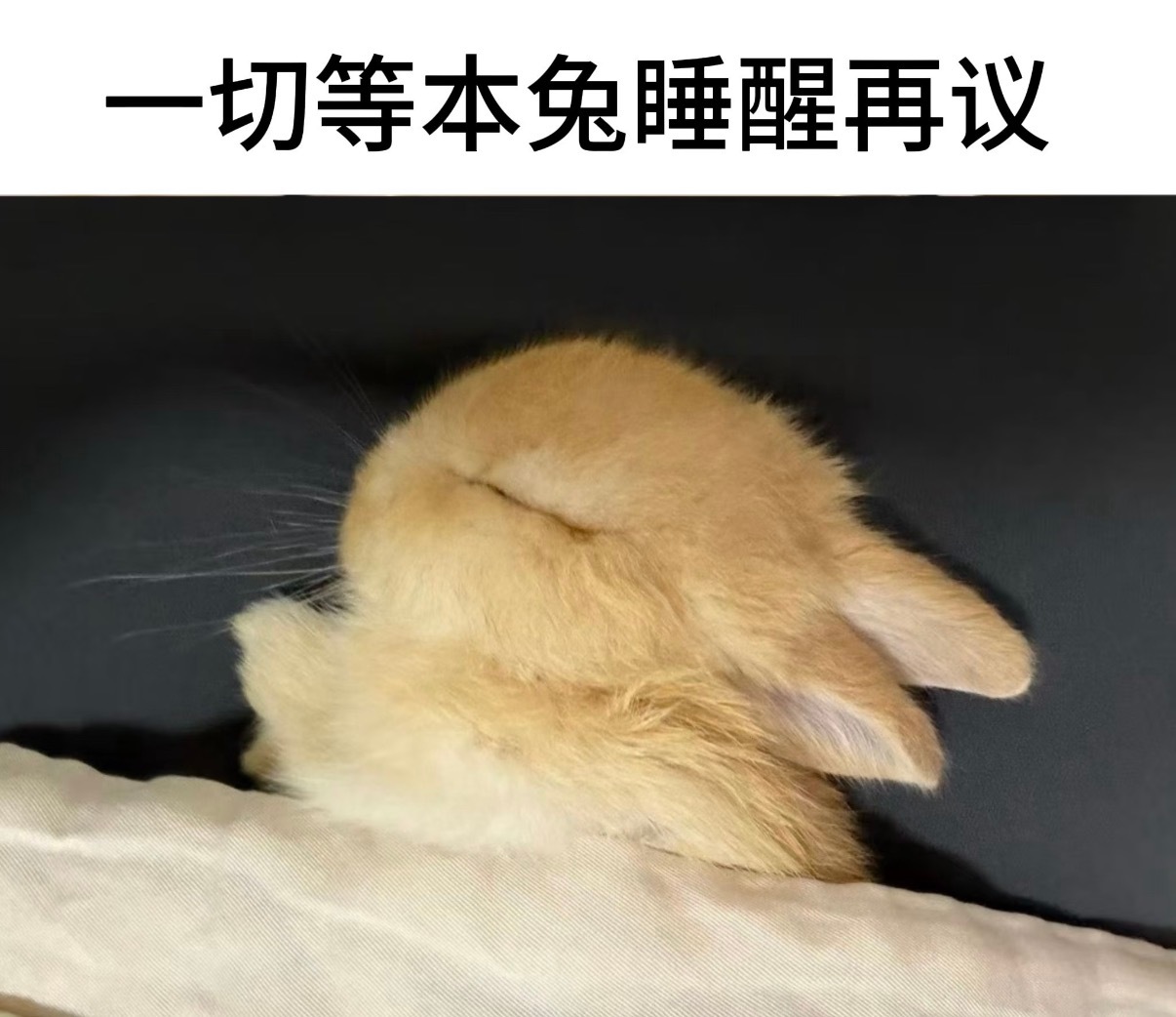 马盘先隐藏了，那个ysys今天打过来了嘎嘎嘎嘎，不想让他们偷吃[哼] ​​​
