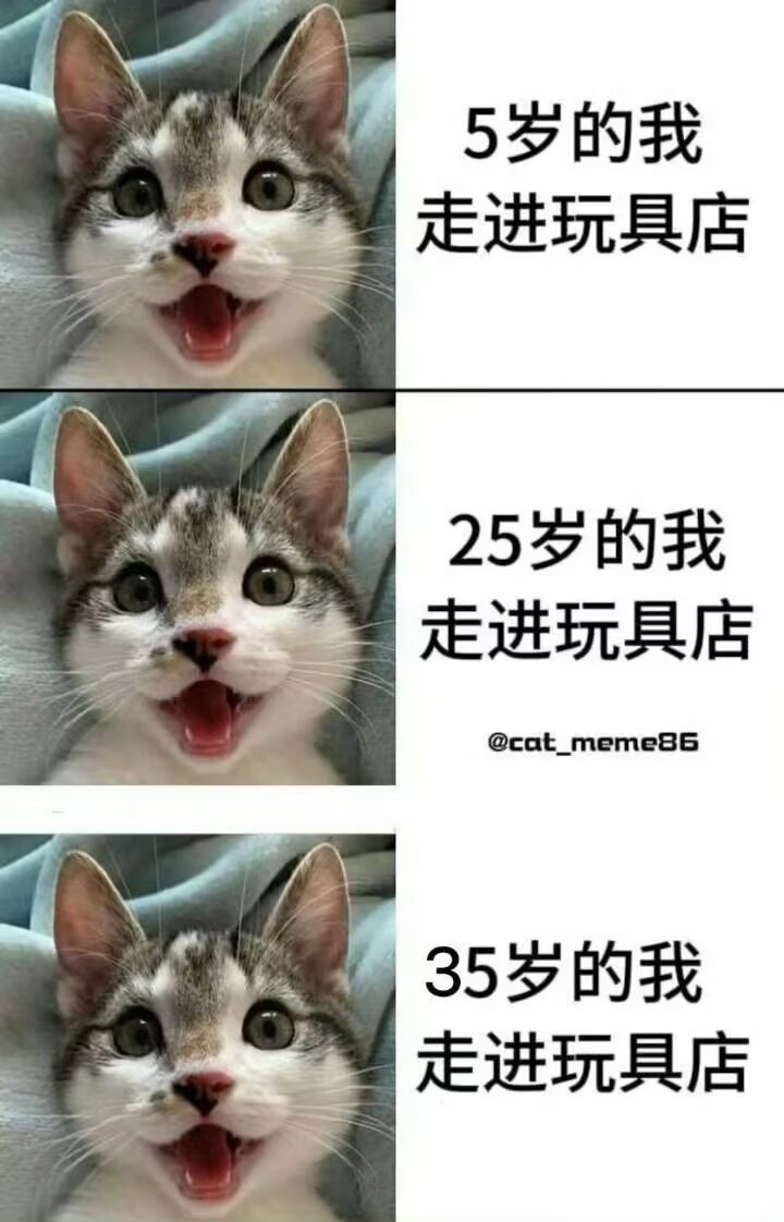 9612不同年龄段走进玩具店的我： 