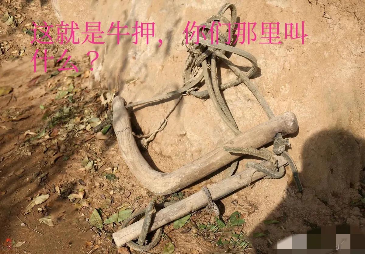 樟湖板在民国时期就是福建的模范镇。
抗战时期，曾经有日军飞机往市区投炸弹，有颗没