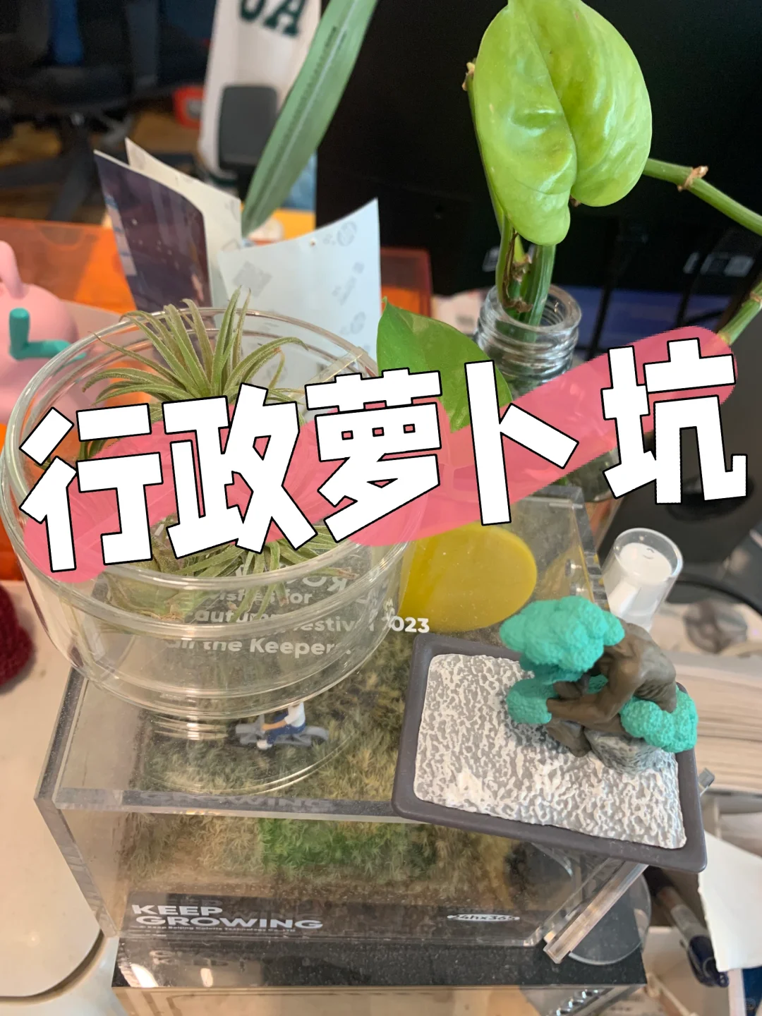 有行政萝卜吗？