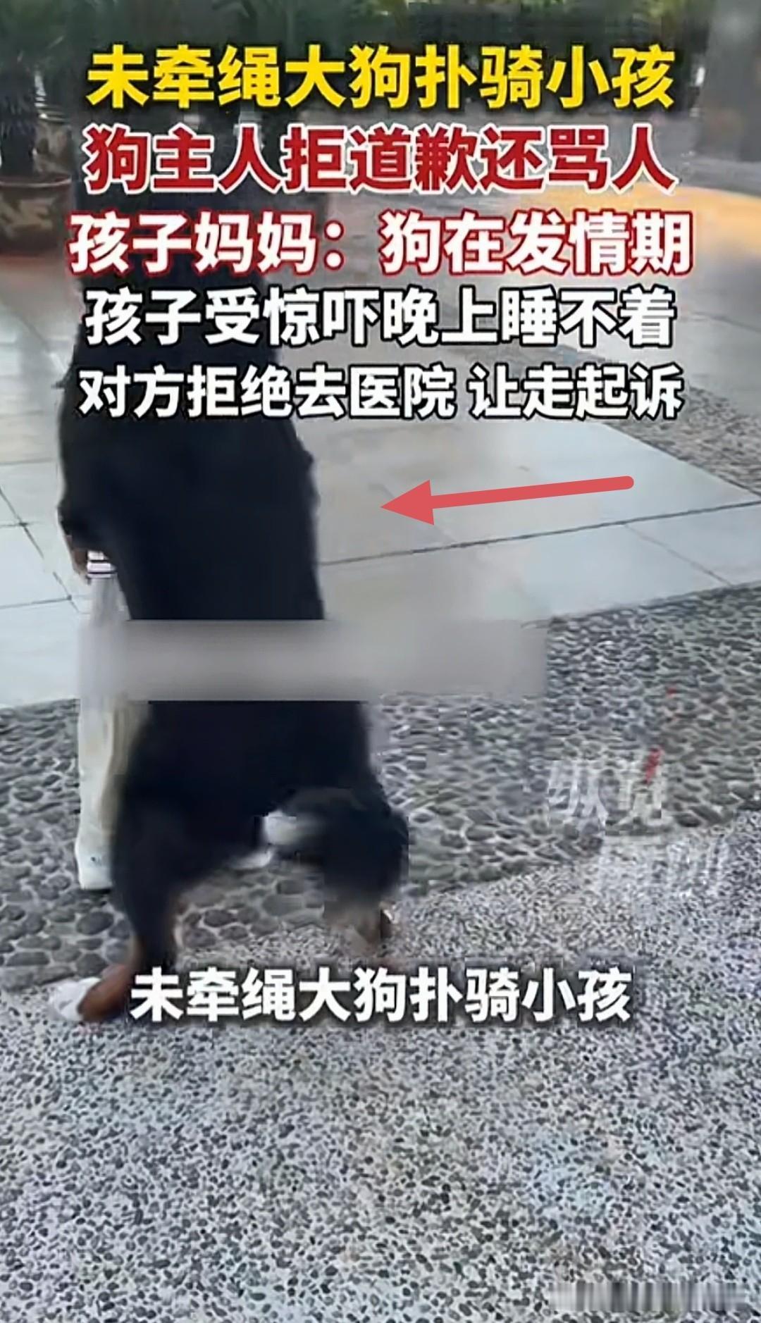 气炸了！！！云南玉溪公园，一只未牵绳的大型犬突然扑向8岁女童，两只前爪搭在她身上